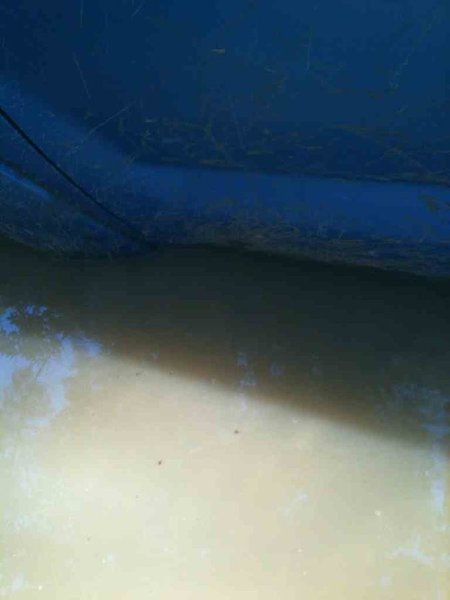ImageUploadedByTapatalk1340414801.064043.jpg
