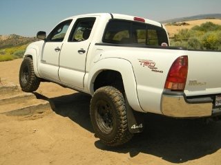 ImageUploadedByTapatalk1356389399.200379.jpg