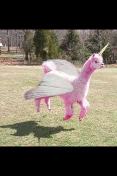 ImageUploadedByTapatalk1361980538.808458.jpg