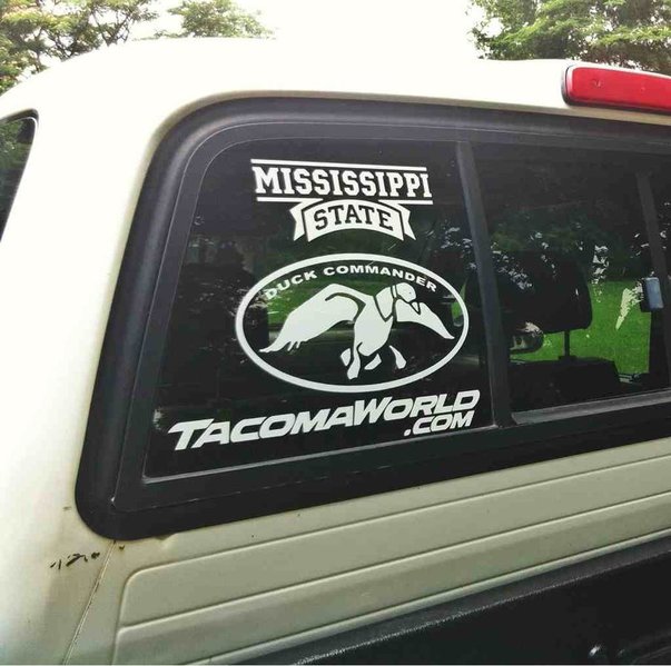 ImageUploadedByTapatalk1370629456.651389.jpg