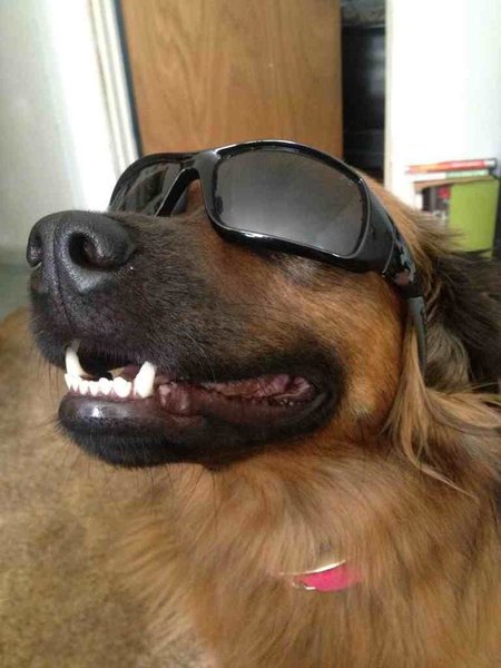 ImageUploadedByTapatalk1374751298.845396.jpg