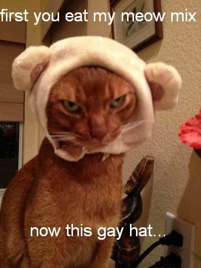 ImageUploadedByTapatalk13793990211.jpg