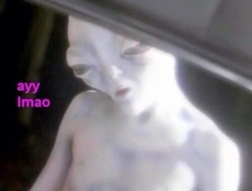 ImageUploadedByTapatalk1393786923.284782.jpg