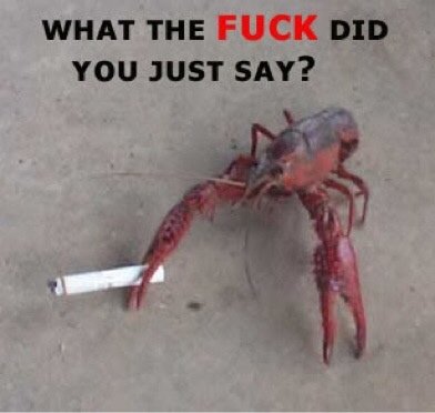 ImageUploadedByTapatalk1398904080.250040.jpg