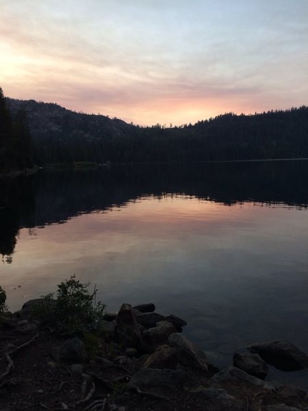ImageUploadedByTapatalk1438121258.621608.jpg