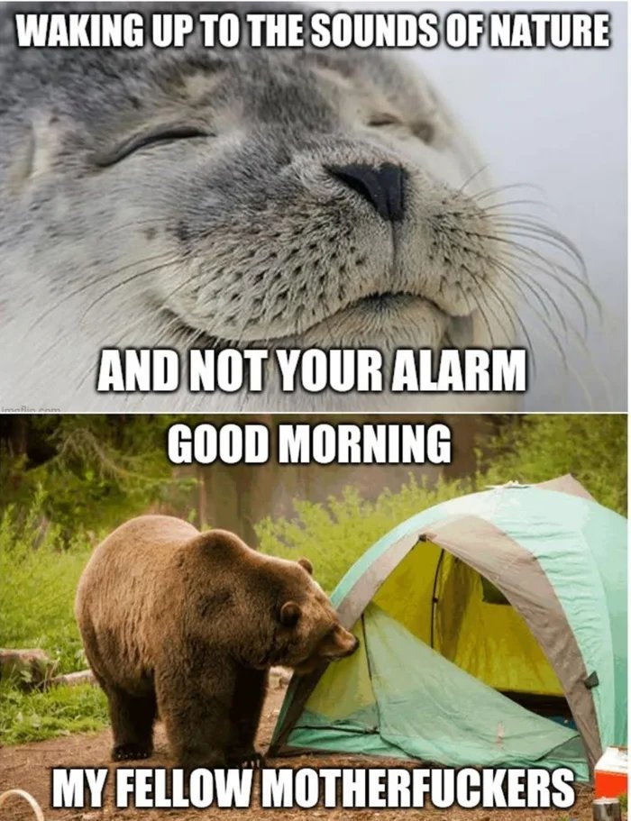 Imagine-waking-up-to-the-sounds-of-a-Karen.jpg