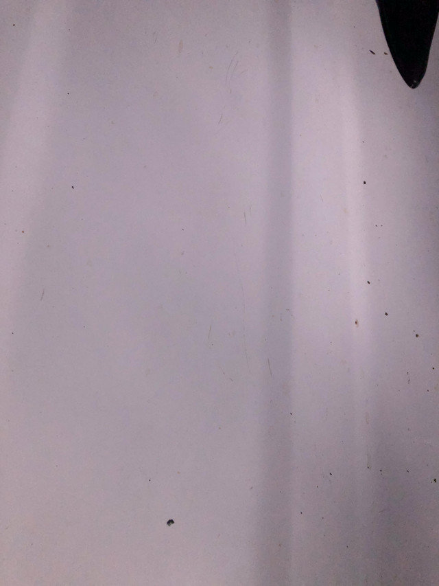 IMG-0342_4f239ae36b1d748dfd19f7b3a9c449e2991c0196.jpg