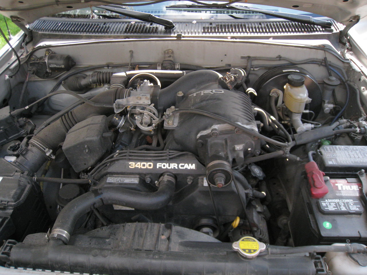 IMG-0528.jpg