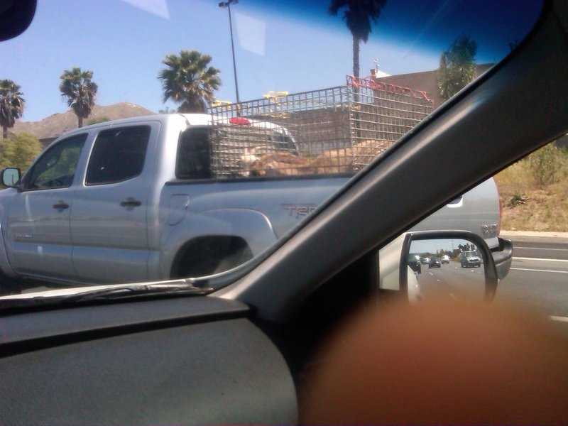 IMG-20110502-00043.jpg