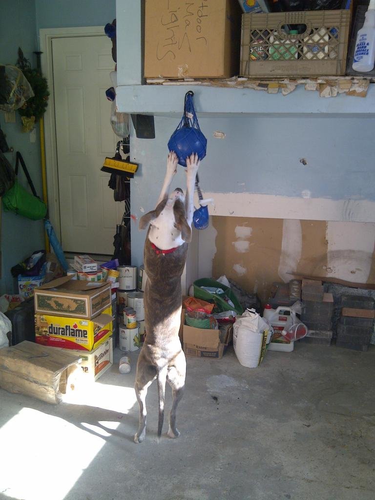 IMG-20111006-00050_adf7df4dc7bf969e5f1245ac38d32cb450a5b262.jpg