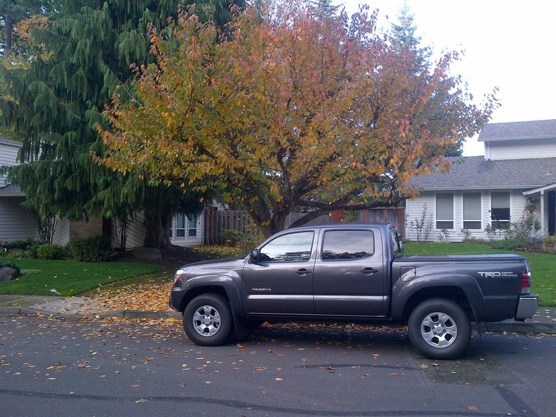 IMG-20121105-00061.jpg