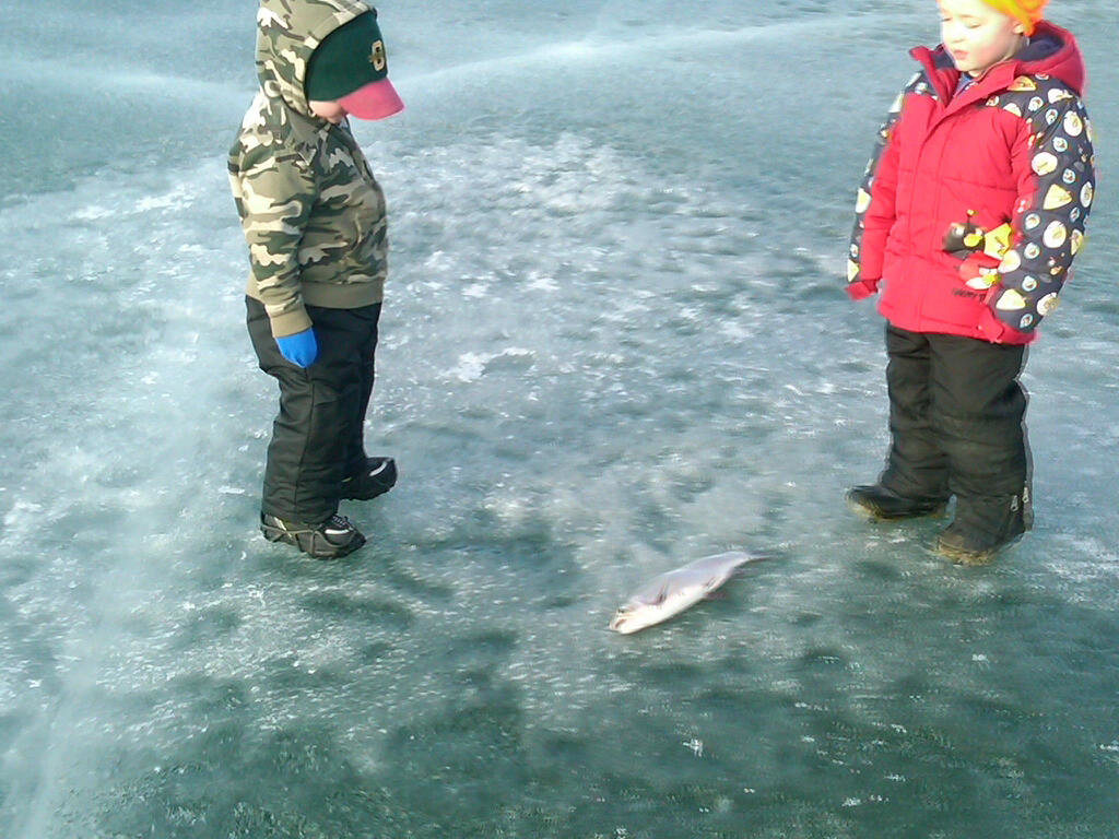 IMG-20140216-00707_zpscdfbb4bd_2a7e12ba0ea53be19c1a1a9add122522d34db8a8.jpg