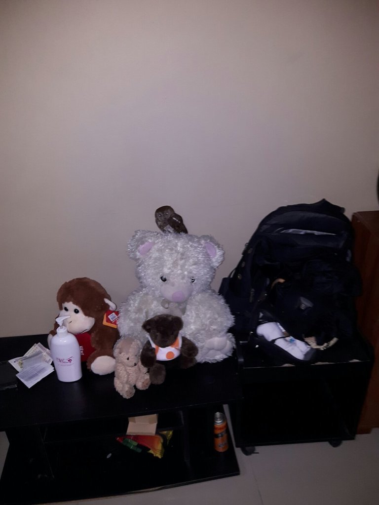 IMG-20160301-WA0000.jpg