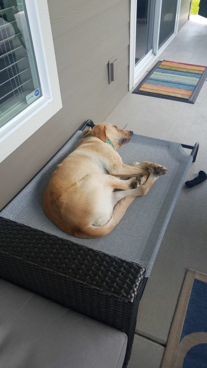 IMG-20180604-WA0009.jpg