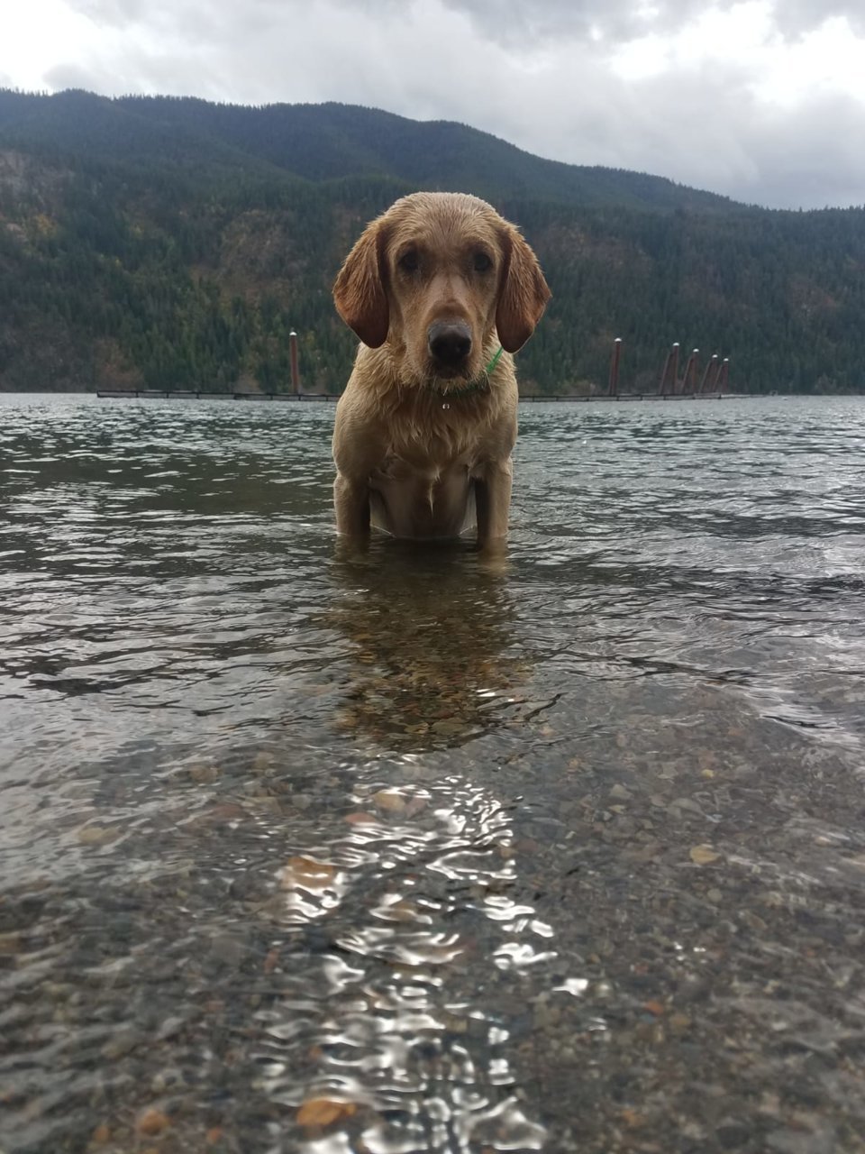 IMG-20180922-WA0001.jpg