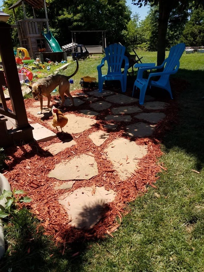 IMG-20190611-WA0007.jpg