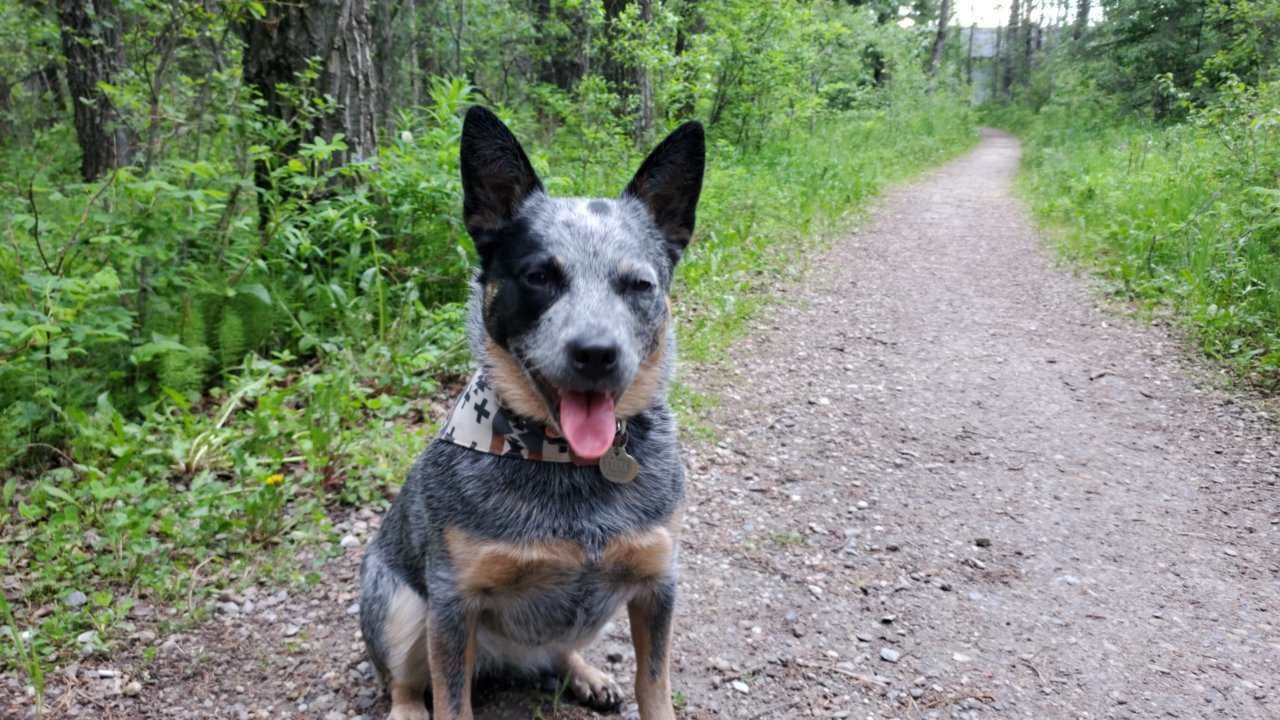 IMG-20190615-WA0017.jpg