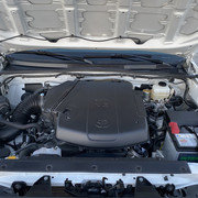 IMG-6650_2d10a5fbb4c6d4c677f6cf357d330fc771d0ec6b.jpg