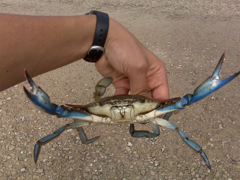 IMG00007.jpg