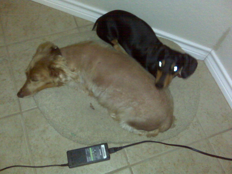 IMG00010.jpg