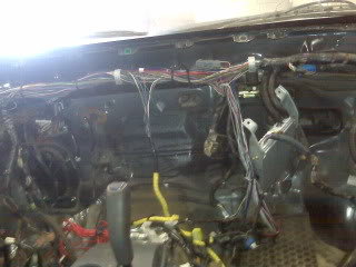 IMG00030_918f5a14f35353200f171dddbacd20097fb77e79.jpg