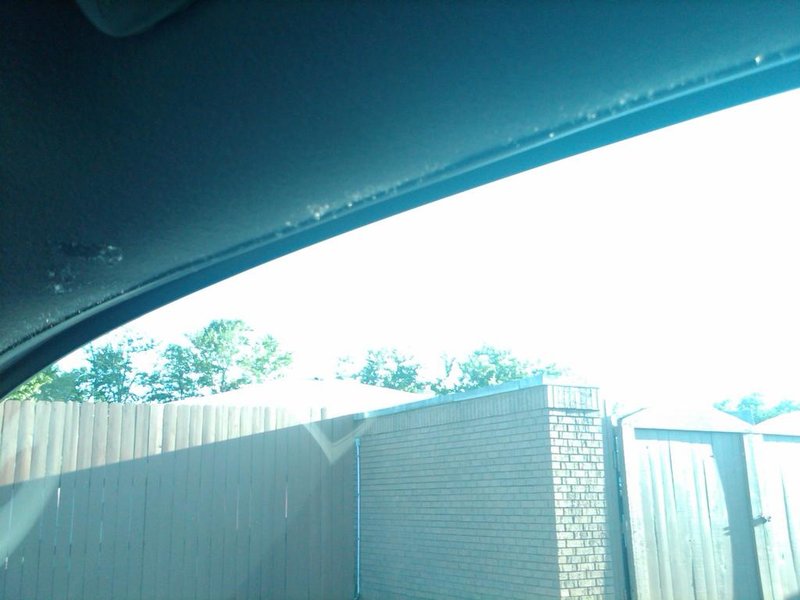 IMG00040-20100503-1922.jpg
