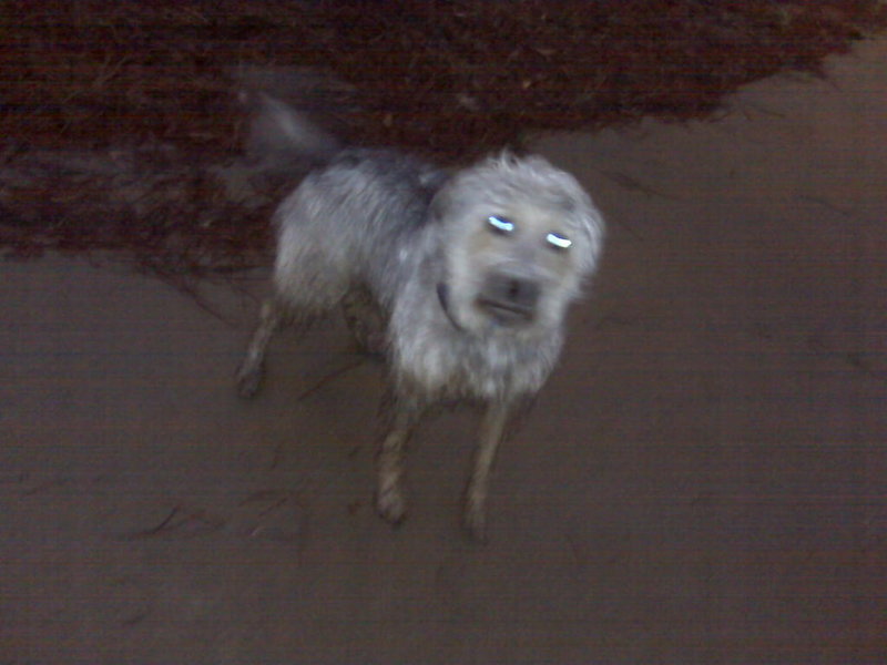 IMG00052.jpg