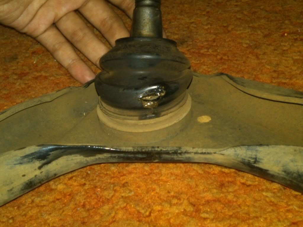 IMG00054-20110505-1530_f048ef5c3126ae1161779977b312708b504133f1.jpg