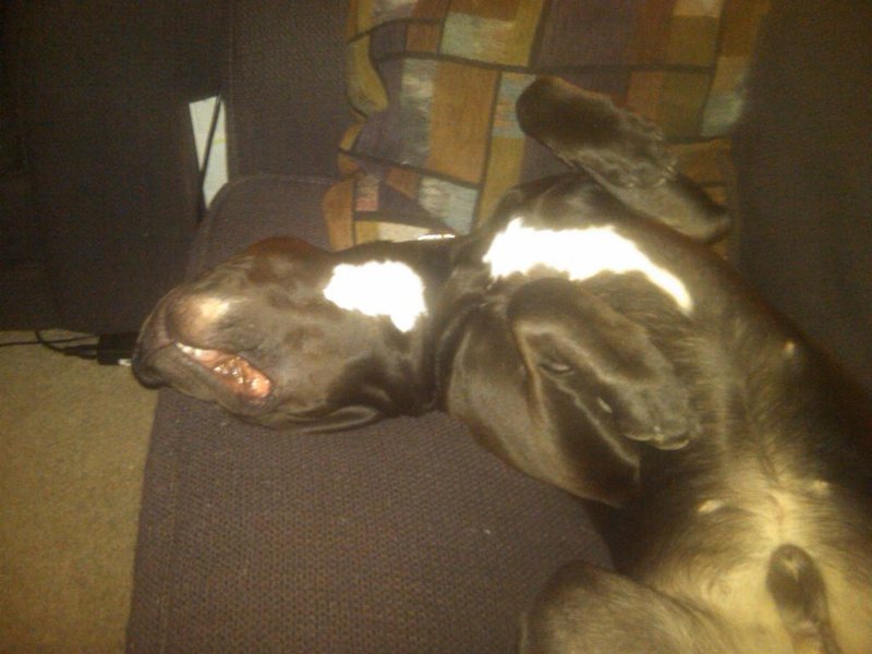 IMG00058-20110111-2105.jpg