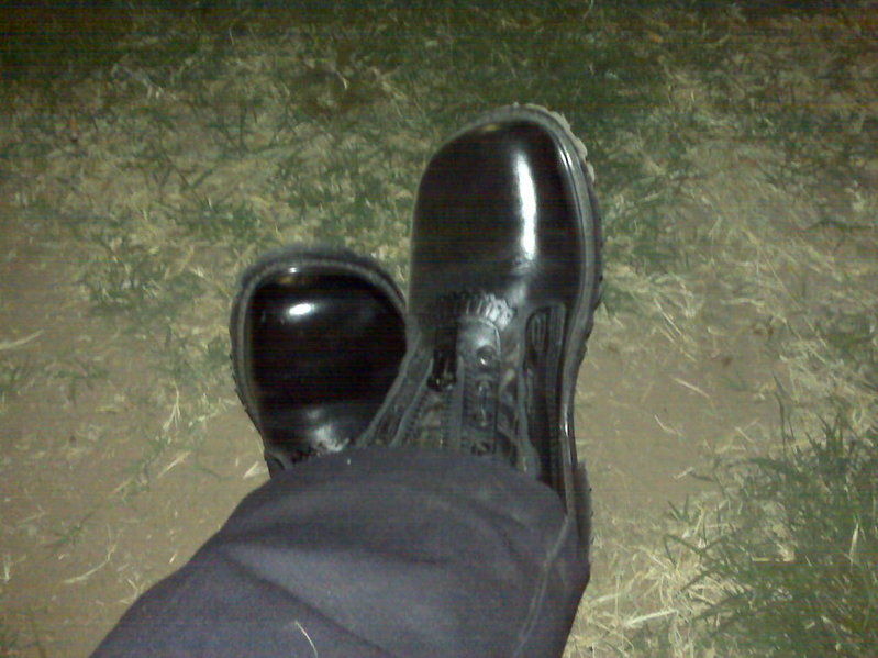 IMG00069-20100402-2139.jpg