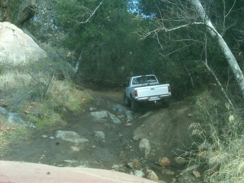 IMG00081-20100131-1255.jpg