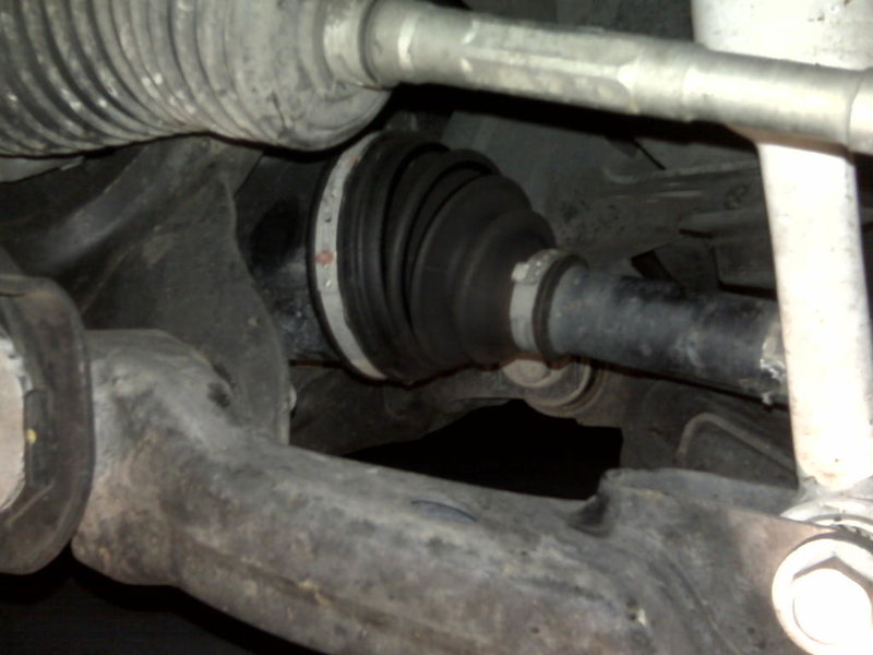 IMG00093.jpg