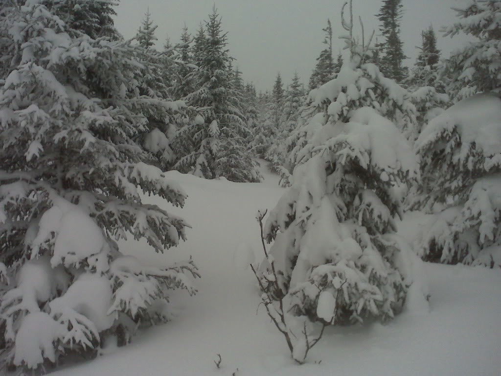 IMG00098_818245105ad620edef0db8467e9ad2955811432d.jpg