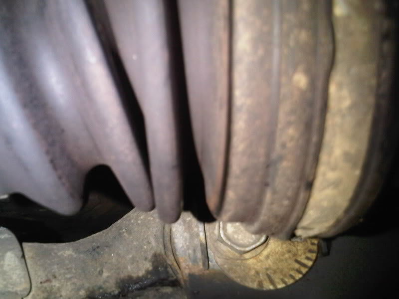 IMG00108-20110412-0kkkk_4c552b1905a7c58cc51206457c5ec96c104657f2.jpg