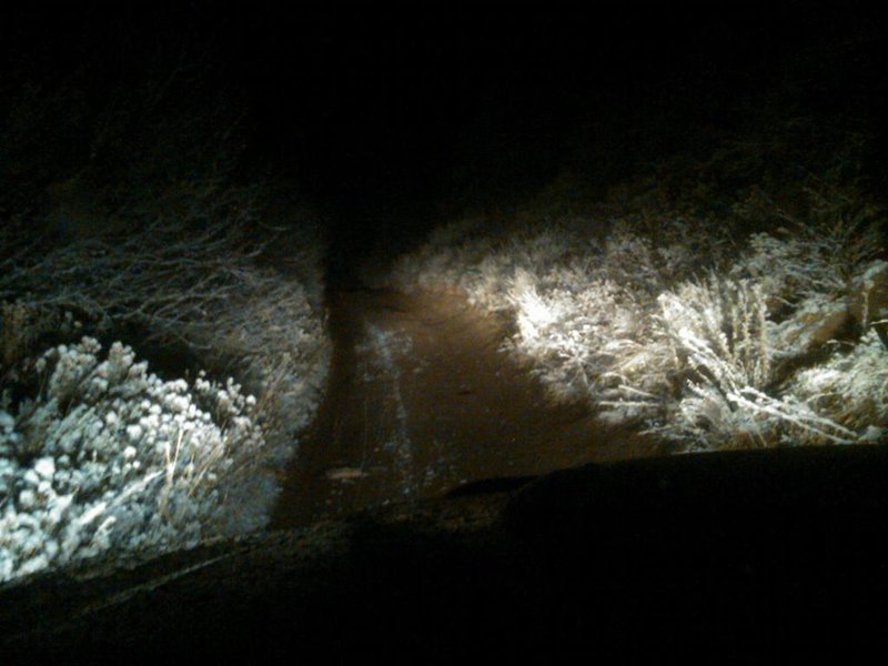IMG00111-20101101-0321.jpg