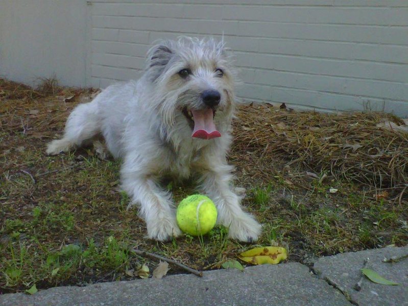 IMG00133-20110416-1701.jpg