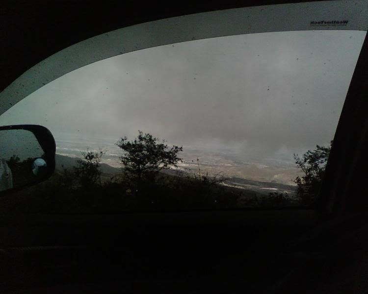IMG00139_951b6b87738168f185f69e458fbd3ac5d0a4ffff.jpg