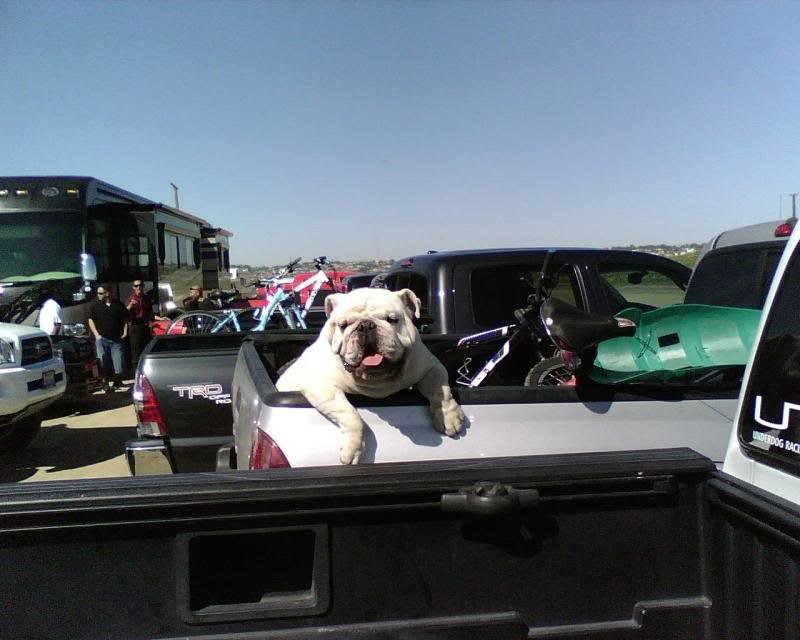 IMG00202_1981609f9844150438c730cef0c9311bf84f8661.jpg