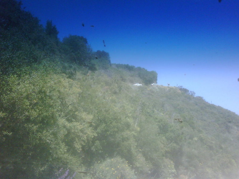 IMG00208-20120603-1412.jpg