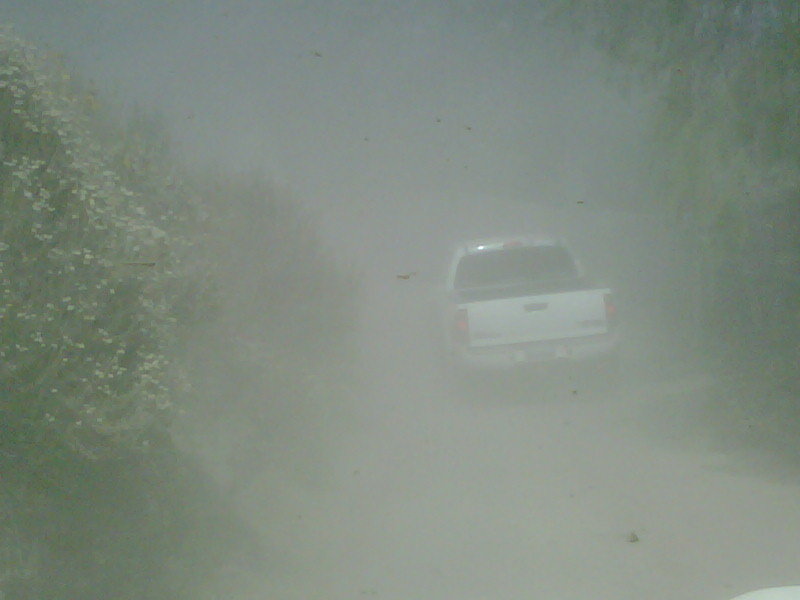 IMG00214-20120603-1458.jpg