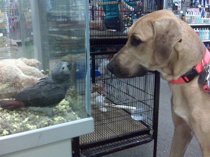 IMG00216.jpg