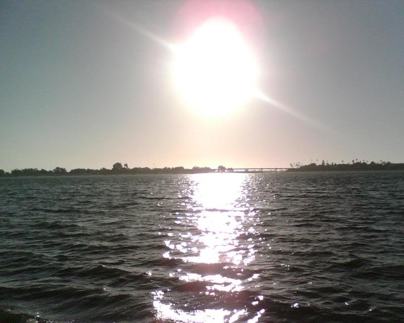 IMG00217_e978376fe56506a01aaddab1424a360aca5003a4.jpg