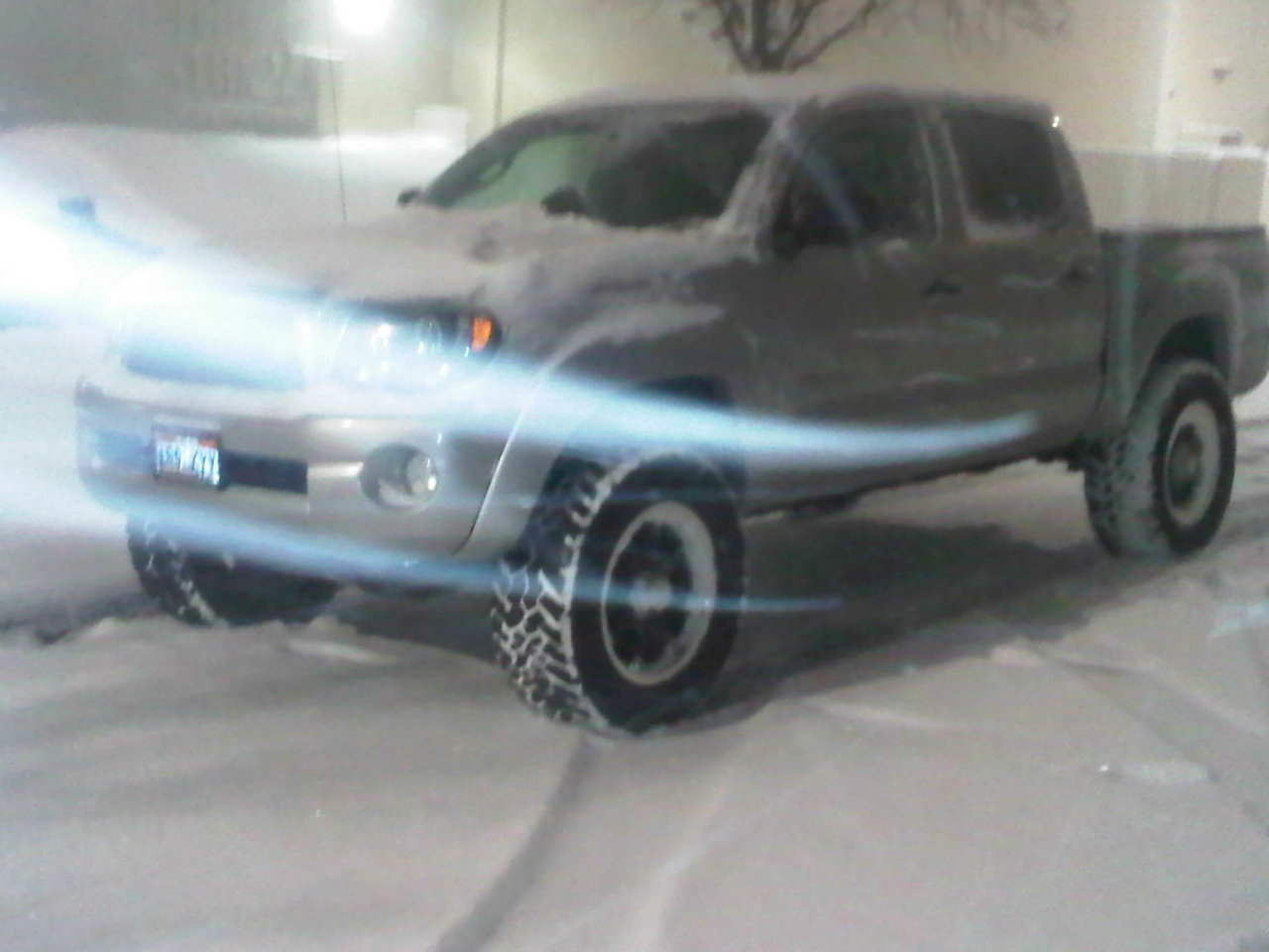 IMG00257-20101123-1805.jpg