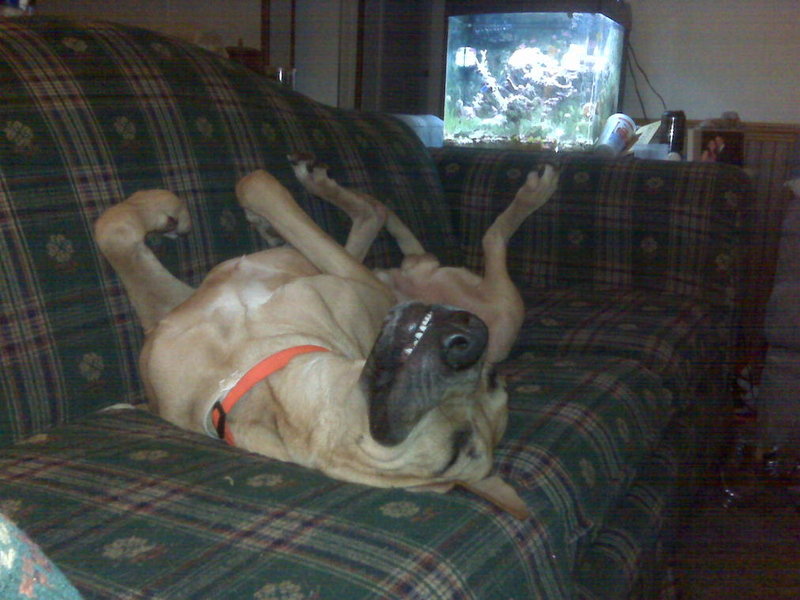 IMG00306.jpg