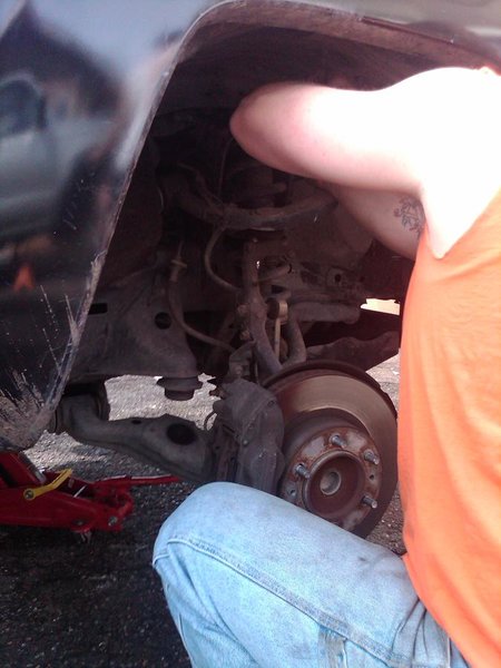 IMG00415-20110417-1000.jpg