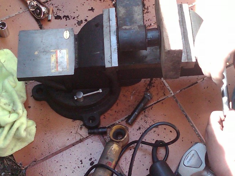 IMG00436-20110417-1316.jpg