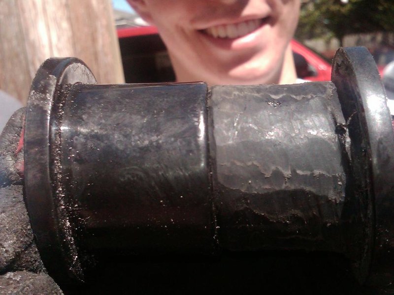 IMG00466-20110417-1427.jpg