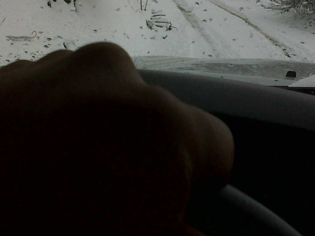 IMG00469-20100523-1408_9d3ffa2cd635e2e1eb8fcedc12697b3e92356a59.jpg