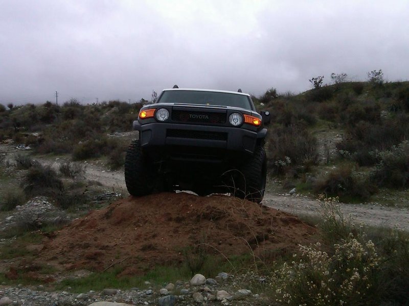 IMG01414-20101218-1403.jpg