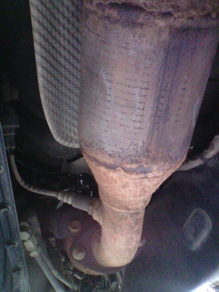 IMG0751A.jpg